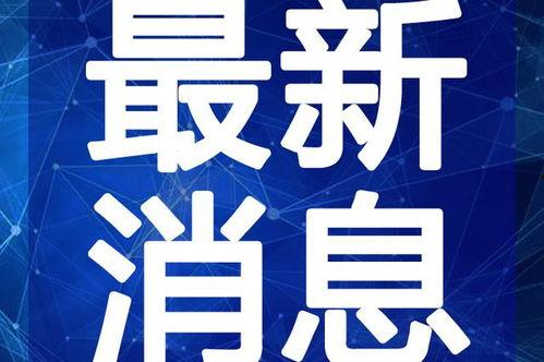 时尚扒卦爆料视频大全最新,揭秘最新潮流趋势,视频大全带你领略时尚风采